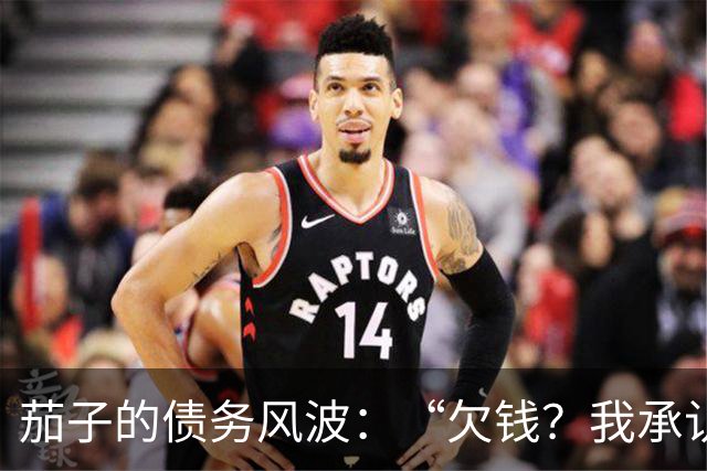 茄子的债务风波：“欠钱？我承认了！