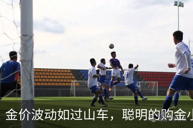金价波动如过山车，聪明的购金小妙招来啦！